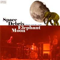 Elephant Moon